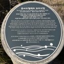 덕수콜택시(주) | 제주도 꼭 가봐야할 곳 제주도 겨울 여행지 추천