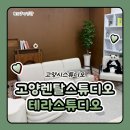 고양렌탈스튜디오 고양시스튜디오 테라스튜디오 인터뷰존 후기 방송촬영하기 좋은 곳