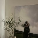 그린인테리어 홈가드닝 | 양재꽃시장 나들이 🌿 신혼집 인테리어 식물 추천 &#39;소포라&#39; 득템 후기 (가격/물주기/꽃말) + 주차정보!!