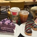 뉴캐빈호프 | [세부/막탄] 5박 7일 자유여행(1) - 호핑투어 다이빙 졸리비 츄비츄비 스타벅스 | 일정 코스 가격 후기 🐟