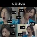 커비동물병원 | 11월 한 달 동안 얼마나 소비한 건지 감도 안옴