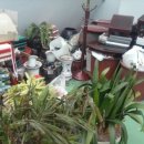 성산연립 상가 이미지