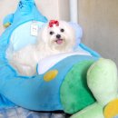 소주하우스 이미지
