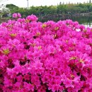 향기5로 이미지