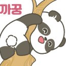 지웰중국어학원