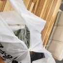 힘찬염소농장 이미지