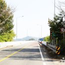 키튼드림센터 티스토리