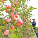 김종후농장 이미지