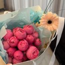 내야내야 똥강아지 | [W#3] 하남 “봉 스튜디오” 비오는 5월 오후 비토탈 촬영 후기( 브라이덜 휘/ 서휘메이크업/서아룸)🥹☔️🌧️