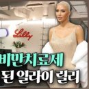 바이릴리 이미지