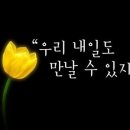 마음퐁당