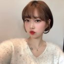 짜르지오 이미지