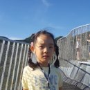 연현태권도 이미지