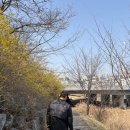 아이조아(봄소리)어린이집 | 블루래빗 소리놀잼 1세 2호 후기, 14개월 아기 오감 놀이, 어린이집 적응 집놀이 추천