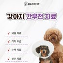 인동동물병원 이미지