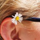 히어링플러스 이미지