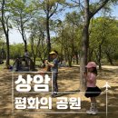 가덕생활체육공원 피크닉존 | 상암 평화의 공원 아이와 나들이! 평화의 공원 주차장 팁부터 평화의 공원 모험놀이터 실사용 후기까지