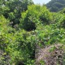 도기리 마을회관 이미지