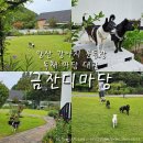김해운동장화장실2(좌측) | 양산 애견운동장 금잔디마당 대관 2시간 단독 이용 후기