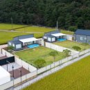 도기도기 이미지