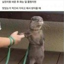 공감 이미지