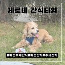 제로네간식타임 | 애견수제간식 제로네간식타임 먹는 행복한 댕댕이 ><