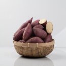 올바름