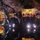 스마트폰으로 찍는 사진반 이미지