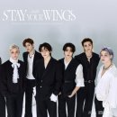 해 스테이 이미지