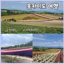 언덕이네아이스크림 | [일본 홋카이도] 비에이 "사계채 언덕" 성수기 7월 후기