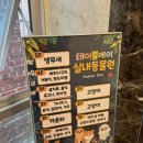 주식회사 테이블에이 고양이카페 | 홍대데이트 합정데이트 테이블에이 홍대고양이카페 홍대실내동물원 후기
