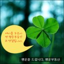 교방동114 이미지