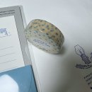 그린문구 - 목포시 텃골로33번길 94-5 | 그린문구