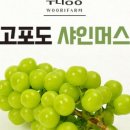 우리농장2 이미지