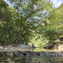 남지계곡 입구 이미지