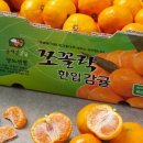 쪼꼴락