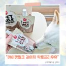 아이펫 | 아이펫밀크 강아지 전용 락토프리 우유 간식대용 내돈내산 솔직후기