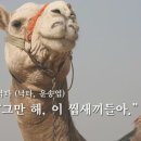 미로객잔 이미지