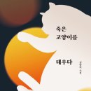 나도 고양이 생겼다 이미지