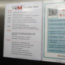 엠호텔 | 제주도 서귀포 가성비 숙소 엠스테이 호텔 제주 후기