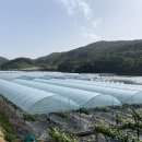사현 이미지