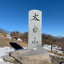강원도 겨울 등산 추천 :: 혼자 다녀온 태백산 설경 장군봉 유일사 코스 후기, 겨울산행준비물