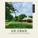장수엄마 농장 | 겁 많던 아이도 성공한 김포곤충농장 자연생태체험 후기｜아이와 가볼 만한 곳