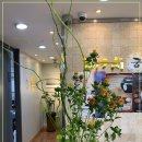 버들한의원 이미지