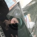 모모디테일링 이미지