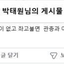 유승민과 한동훈은 머리는 좋으나 덕이 없고 ... 이미지