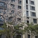 자이더파크부동산중개 이미지