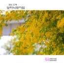 보타닉뮤지엄