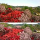 완산공원(정상) 이미지