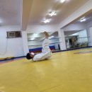 진관유도중앙도장 이미지